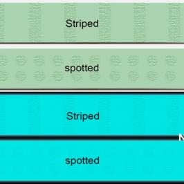 Self-luminous anti-slip board